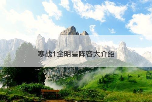 寒战1全明星阵容大介绍