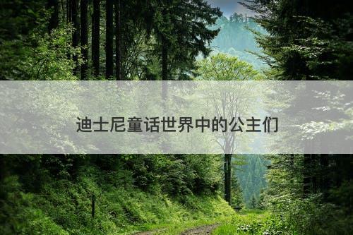 迪士尼童话世界中的公主们