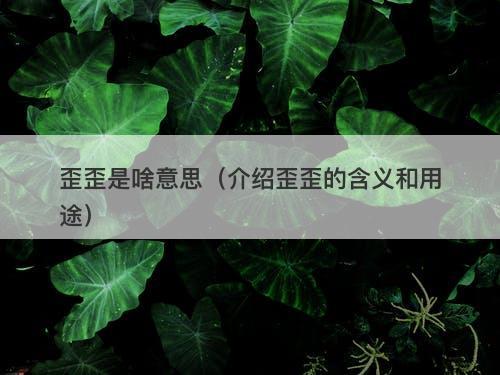 歪歪是啥意思（介绍歪歪的含义和用途）