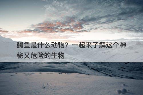鳄鱼是什么动物？一起来了解这个神秘又危险的生物