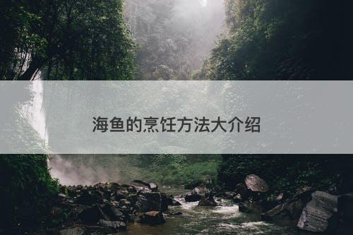 海鱼的烹饪方法大介绍