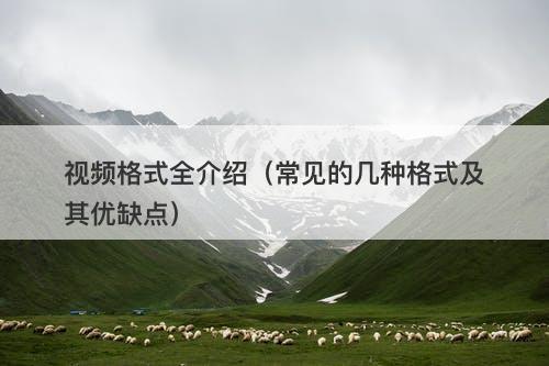 视频格式全介绍（常见的几种格式及其优缺点）