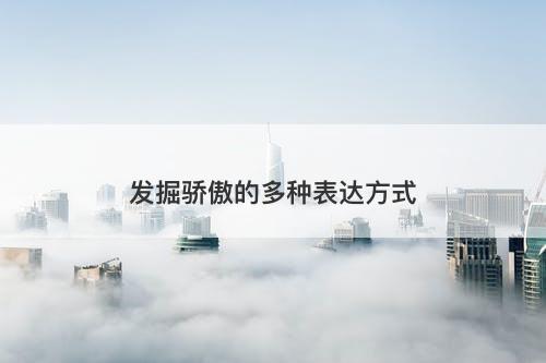 发掘骄傲的多种表达方式