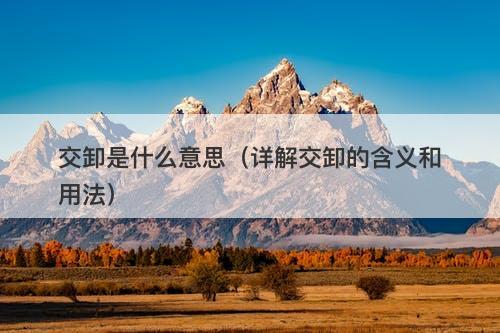 交卸是什么意思（详解交卸的含义和用法）