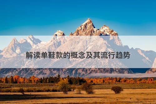 解读单鞋款的概念及其流行趋势