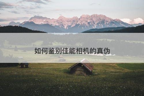 如何鉴别佳能相机的真伪