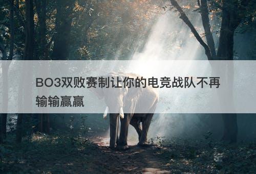 BO3双败赛制让你的电竞战队不再输输赢赢