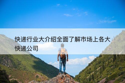 快递行业大介绍全面了解市场上各大快递公司