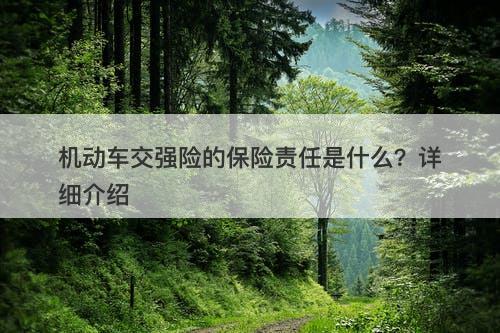 机动车交强险的保险责任是什么？详细介绍