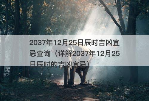 2037年12月25日辰时吉凶宜忌查询（详解2037年12月25日辰时的吉凶宜忌）