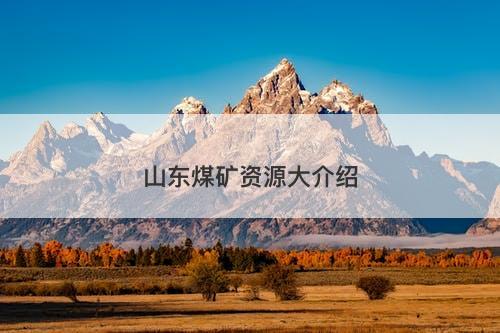 山东煤矿资源大介绍