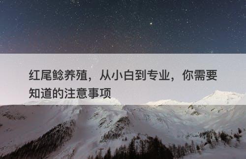 红尾鲶养殖，从小白到专业，你需要知道的注意事项