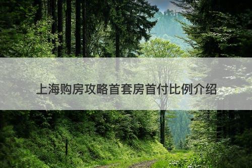 上海购房攻略首套房首付比例介绍