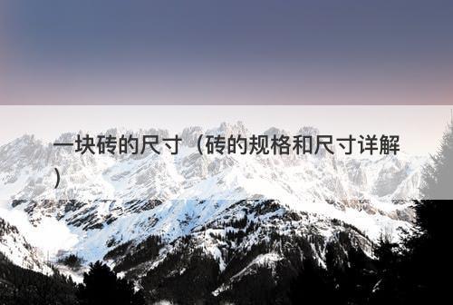 一块砖的尺寸（砖的规格和尺寸详解）-图1