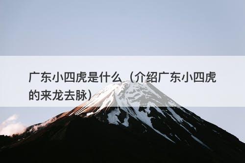 广东小四虎是什么（介绍广东小四虎的来龙去脉）