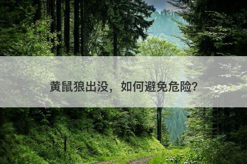 黄鼠狼出没，如何避免危险？