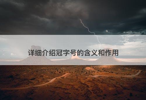 详细介绍冠字号的含义和作用