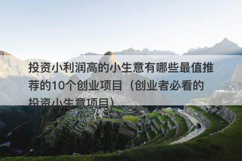 投资小利润高的小生意有哪些最值推荐的10个创业项目（创业者必看的投资小生意项目）