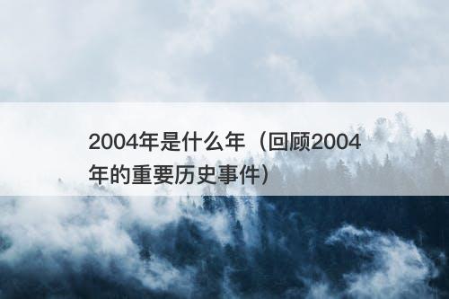 2004年是什么年（回顾2004年的重要历史事件）