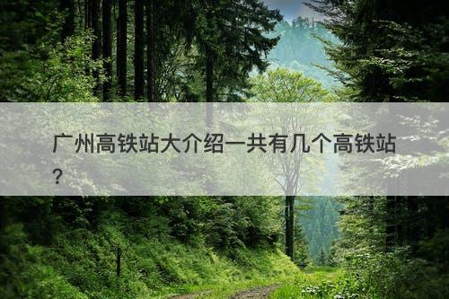 广州高铁站大介绍一共有几个高铁站？