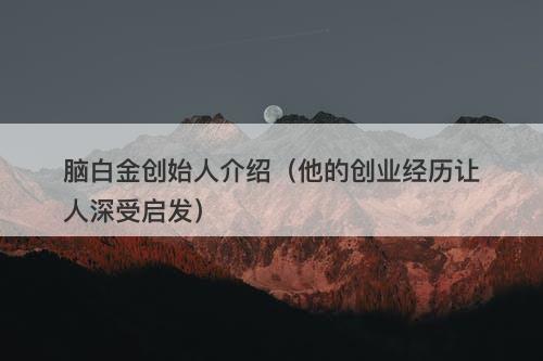 脑白金创始人介绍（他的创业经历让人深受启发）