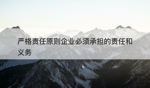 严格责任原则企业必须承担的责任和义务