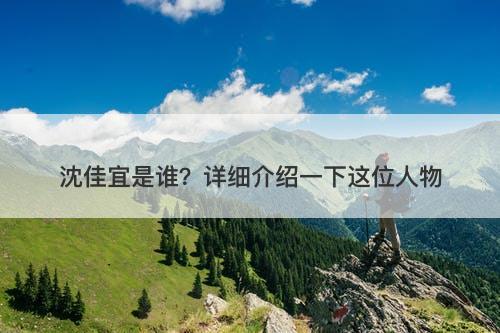 沈佳宜是谁？详细介绍一下这位人物