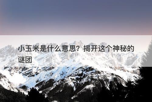小玉米是什么意思？揭开这个神秘的谜团