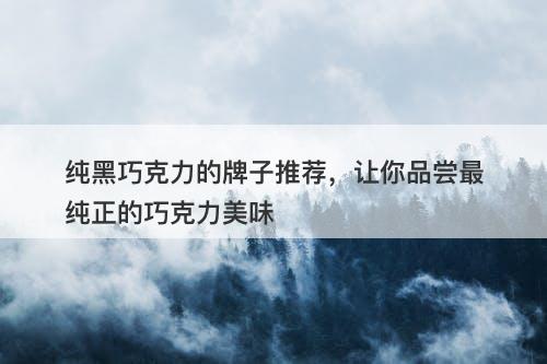 纯黑巧克力的牌子推荐，让你品尝最纯正的巧克力美味
