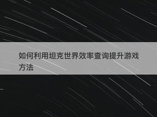 如何利用坦克世界效率查询提升游戏方法