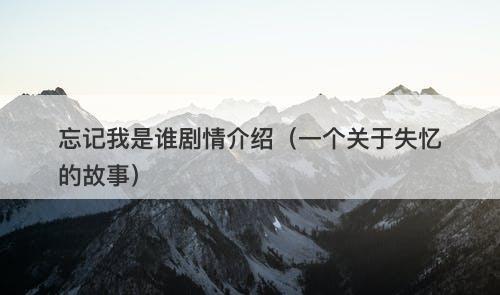忘记我是谁剧情介绍（一个关于失忆的故事）