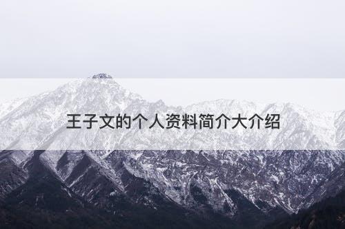 王子文的个人资料简介大介绍