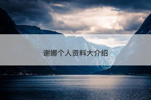 谢娜个人资料大介绍