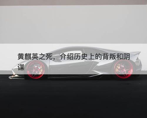 黄麒英之死，介绍历史上的背叛和阴谋