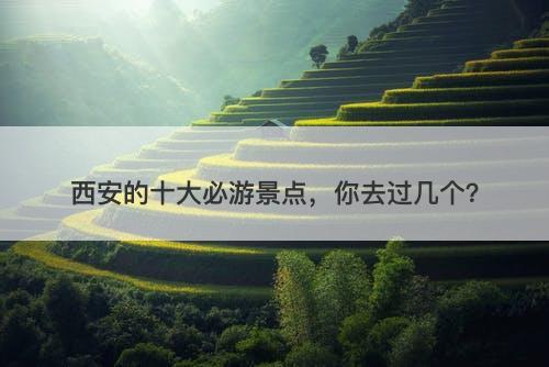 西安的十大必游景点，你去过几个？