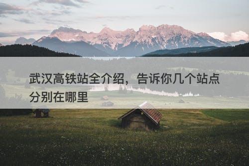 武汉高铁站全介绍，告诉你几个站点分别在哪里