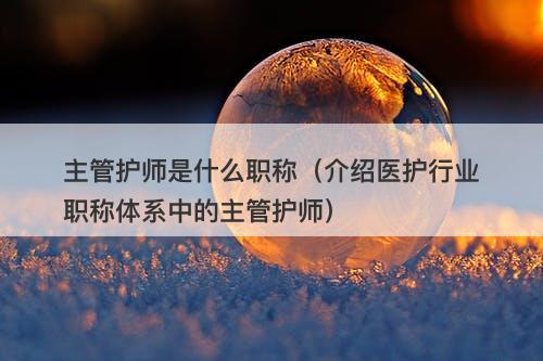 主管护师是什么职称（介绍医护行业职称体系中的主管护师）
