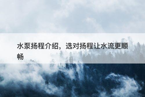 水泵扬程介绍，选对扬程让水流更顺畅