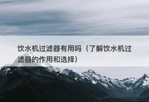 饮水机过滤器有用吗（了解饮水机过滤器的作用和选择）-图1