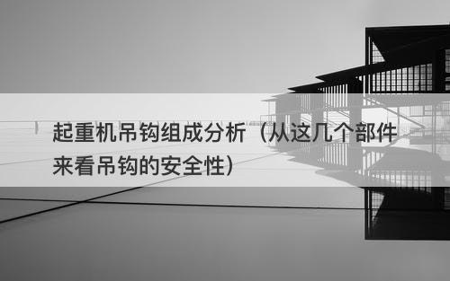 起重机吊钩组成分析（从这几个部件来看吊钩的安全性）