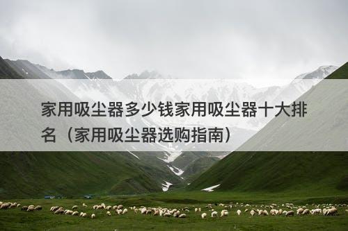 家用吸尘器多少钱家用吸尘器十大排名（家用吸尘器选购指南）