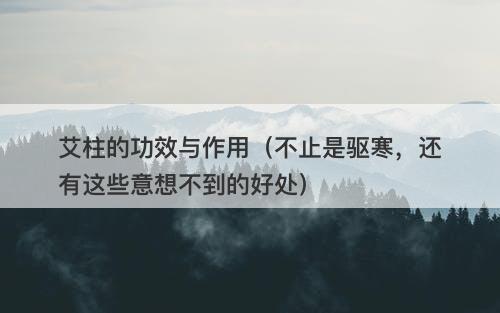 艾柱的功效与作用（不止是驱寒，还有这些意想不到的好处）