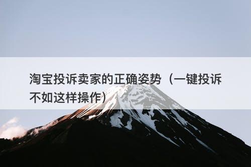 淘宝投诉卖家的正确姿势（一键投诉不如这样操作）