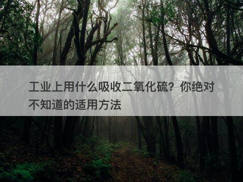 工业上用什么吸收二氧化硫？你绝对不知道的适用方法