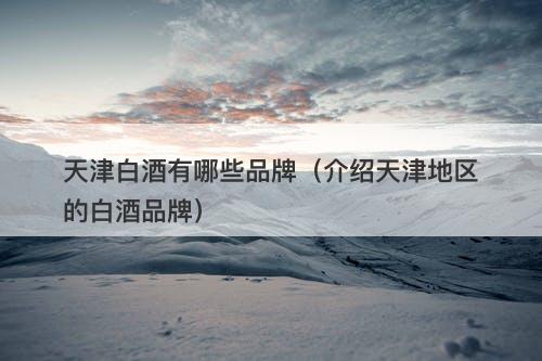 天津白酒有哪些品牌（介绍天津地区的白酒品牌）-图1
