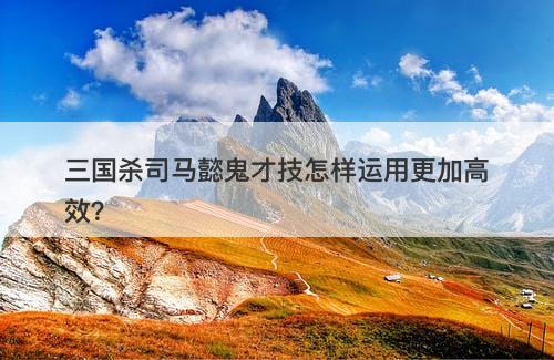三国杀司马懿鬼才技怎样运用更加高效？-图1
