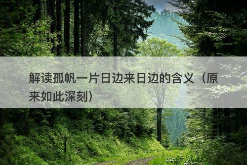 解读孤帆一片日边来日边的含义（原来如此深刻）
