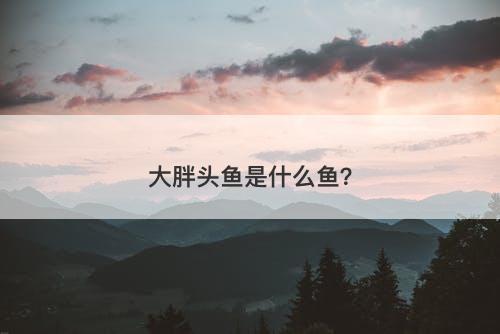 大胖头鱼是什么鱼？