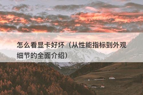 怎么看显卡好坏（从性能指标到外观细节的全面介绍）