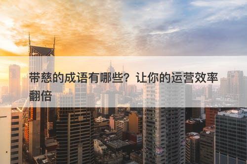 带慈的成语有哪些？让你的运营效率翻倍